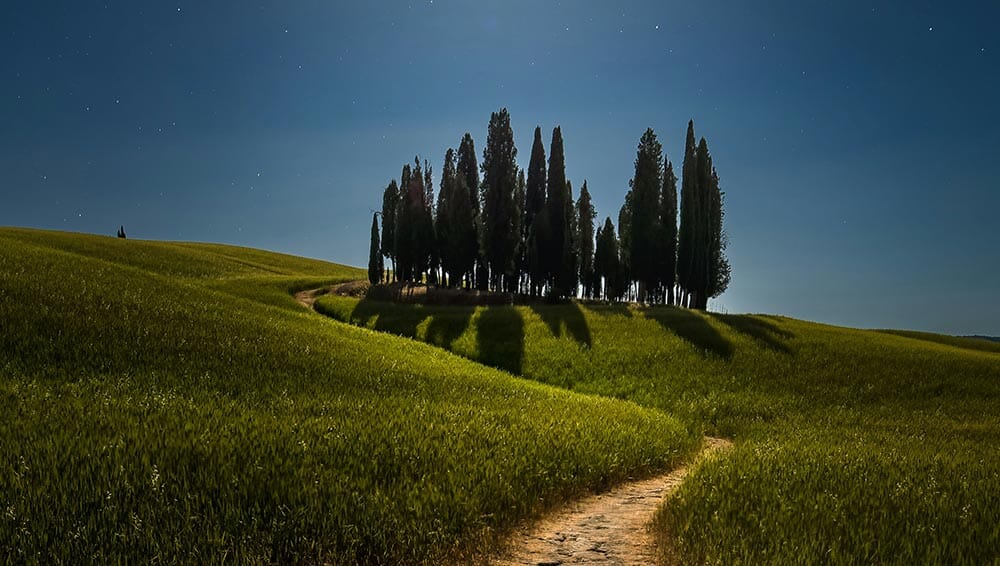 Val d'Orcia - Cipresseta