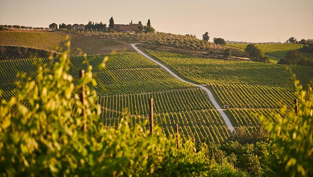 migliori vini di Siena