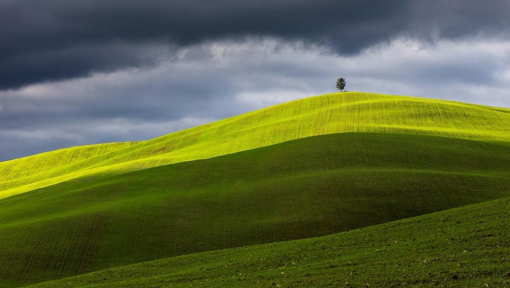 Val d'orcia - siena - tuscany - italy