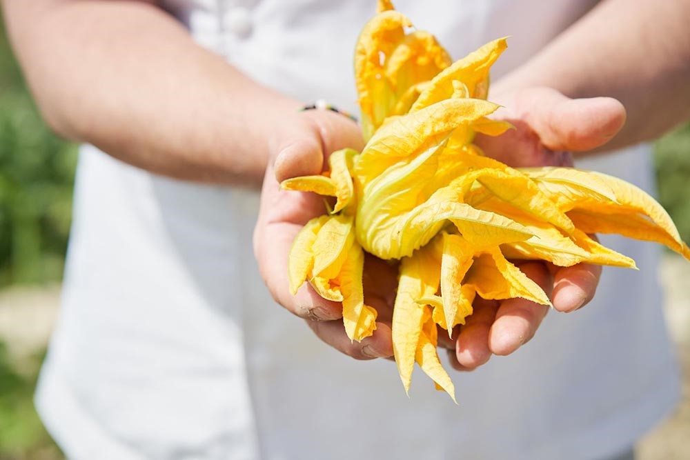 Fiori di zucca | Il Passaggio Ristorante resort