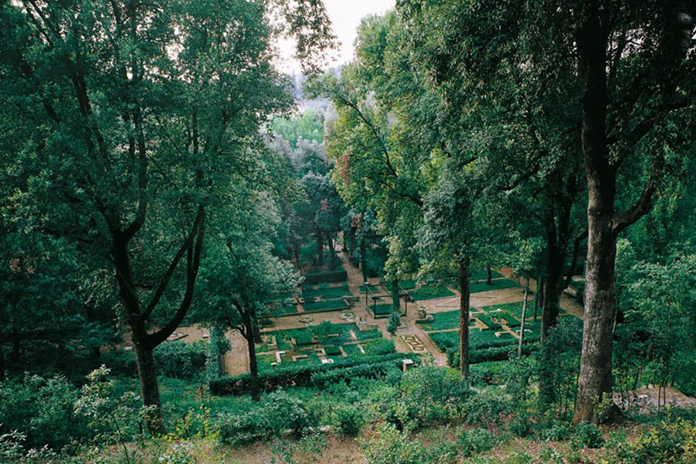 Il parco boschivo Il-Bosco-della-Ragnaia