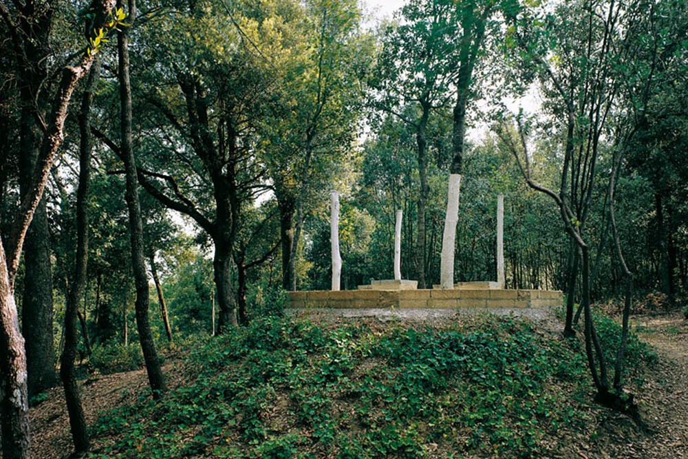 Bosco di lecci Il-Bosco-della-Ragnaia