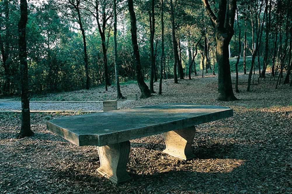 Bosco di lecci Il-Bosco-della-Ragnaia