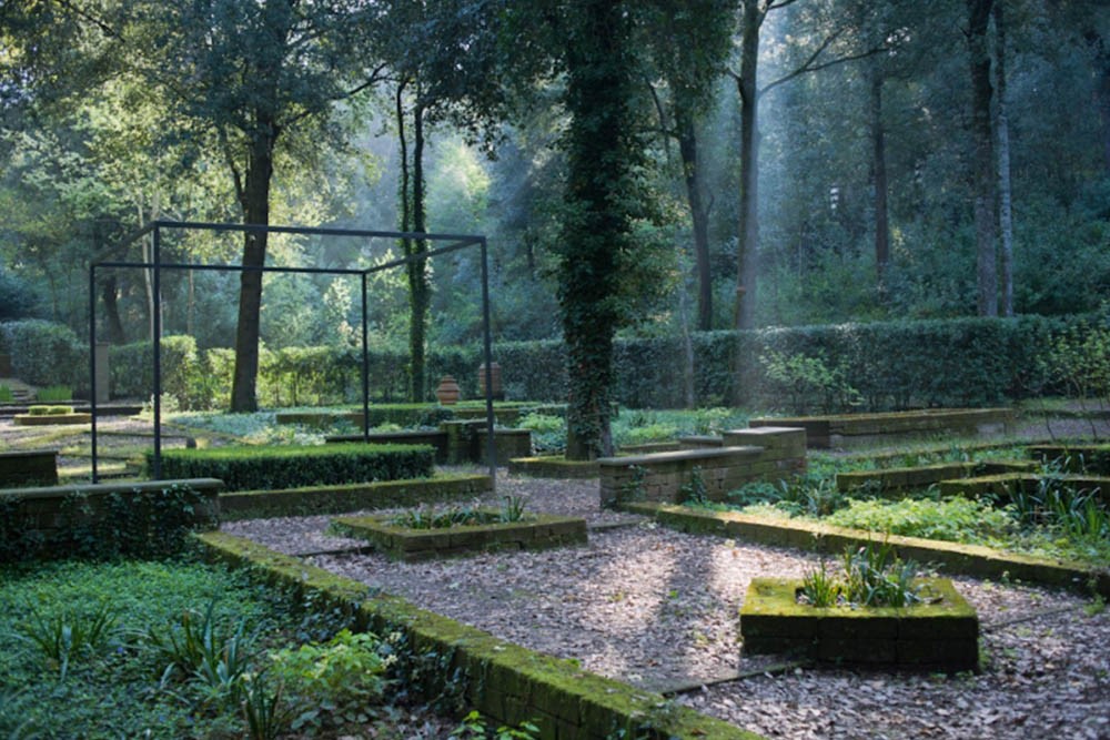 Percorsi nel bosco di lecci Il-Bosco-della-Ragnaia