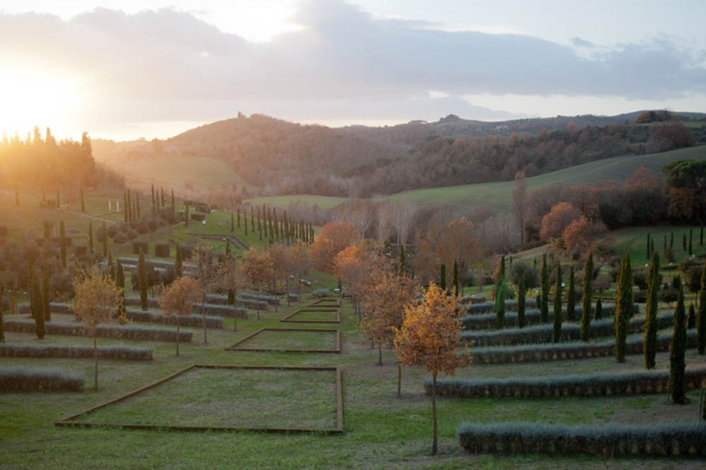 Visuale dal parco Il-Bosco-della-Ragnaia