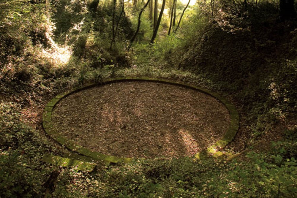 Tappa nel bosco Il-Bosco-della-Ragnaia