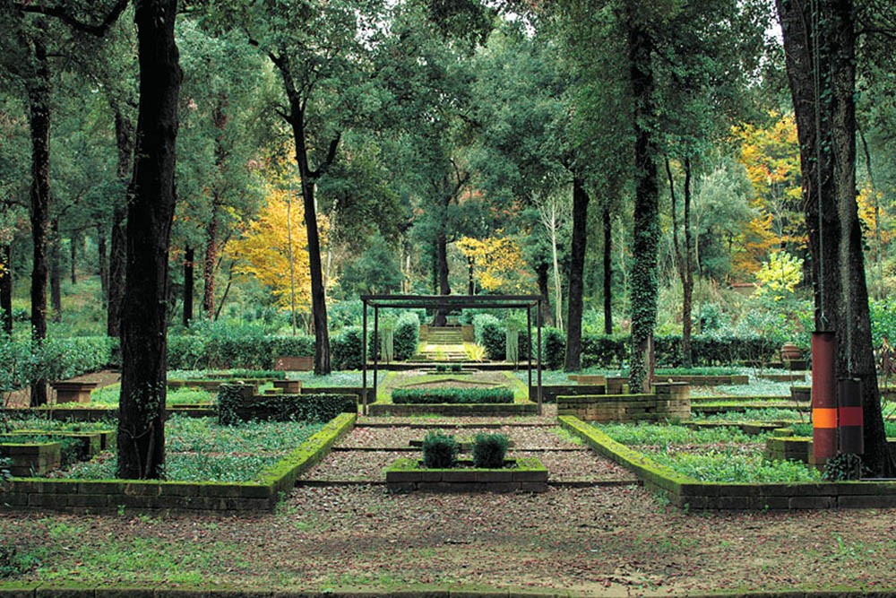 Percorso nel bosco in autunno Il-Bosco-della-Ragnaia