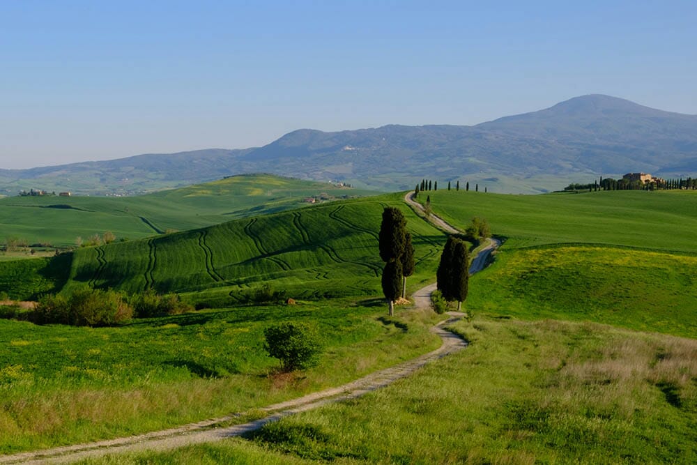 strada-gladiatoe-pienza-siena-tuscany-italy